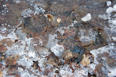 Similar image 1566346