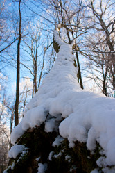 Similar image 1566347