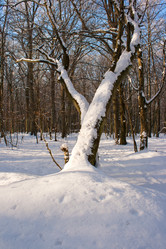 Similar image 1566348