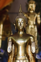 Similar image 1566491