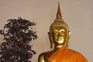 Similar image 1566498