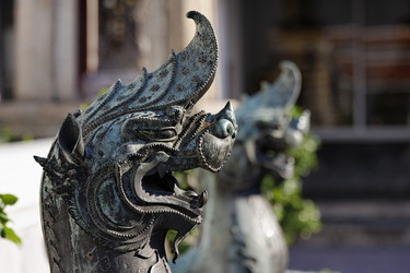 Similar image 1566591