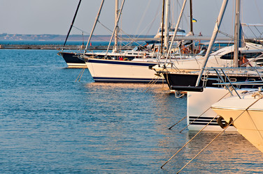 Similar image 1566730