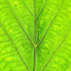 Similar image 1566733