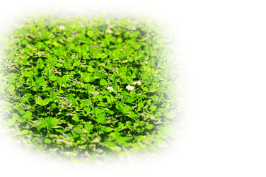 Similar image 1566768