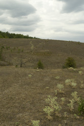 Similar image 1566771