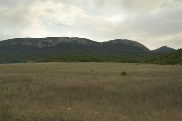 Similar image 1566772