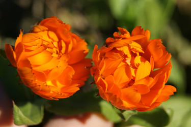 Similar image 1566775