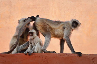 Similar image 1566778