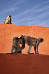 Similar image 1566779