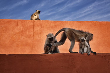 Similar image 1566794