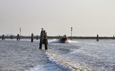 Similar image 1566842