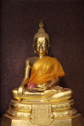 Similar image 1566845