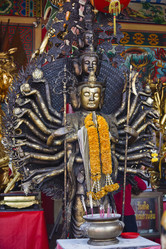 Similar image 1566860