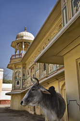 Similar image 1566861