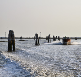 Similar image 1566868