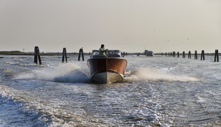 Similar image 1566873