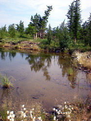 Similar image 1566881