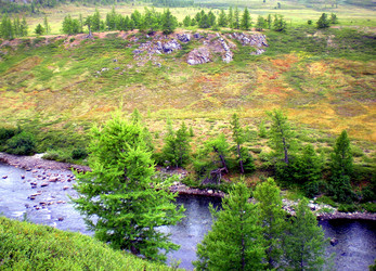 Similar image 1566884