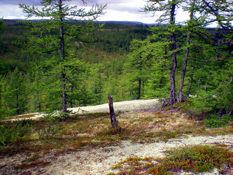 Similar image 1566888