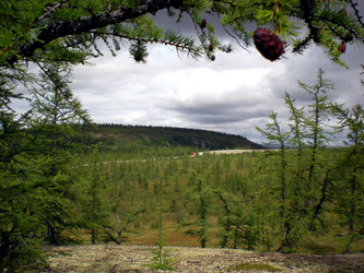 Similar image 1566891