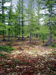 Similar image 1566892