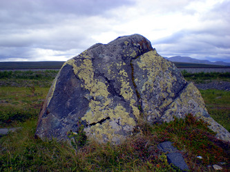 Similar image 1566893