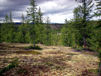 Similar image 1566894