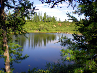 Similar image 1566896