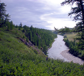 Similar image 1566899