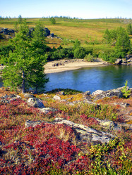 Similar image 1566906