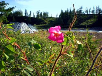 Similar image 1566910