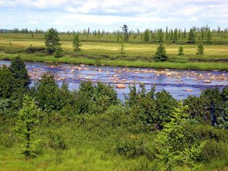 Similar image 1566916