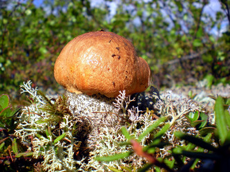 Similar image 1566917