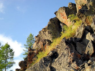 Similar image 1566918