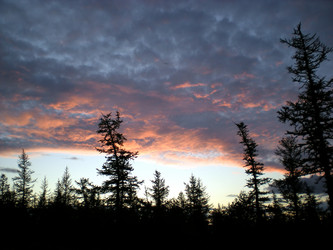 Similar image 1566920