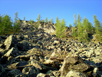 Similar image 1566923