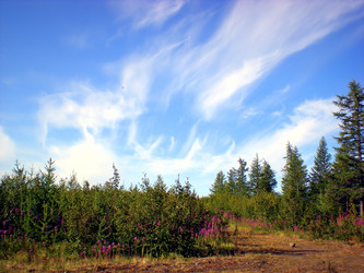 Similar image 1566924