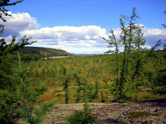 Similar image 1566925