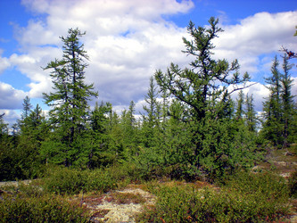 Similar image 1566926