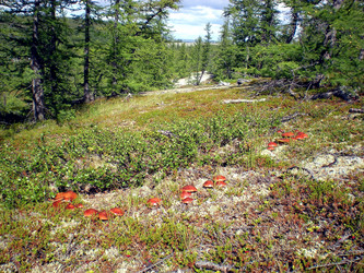 Similar image 1566934