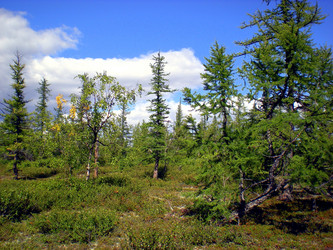 Similar image 1566936