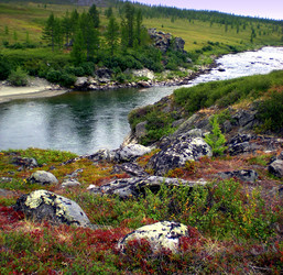 Similar image 1566938