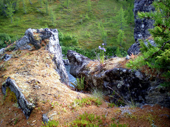 Similar image 1566942