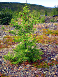 Similar image 1566943