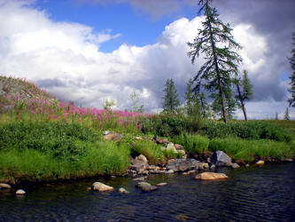 Similar image 1566944