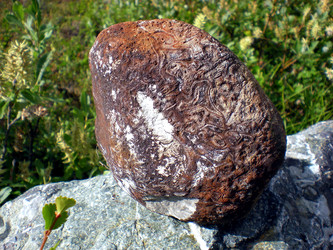 Similar image 1566945