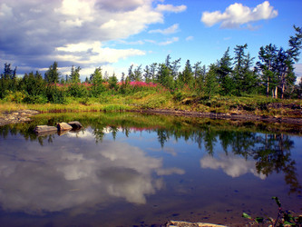 Similar image 1566947