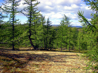 Similar image 1566948