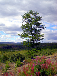 Similar image 1566949